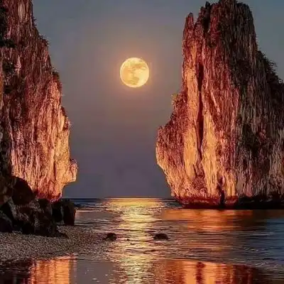 dp nature dp nature